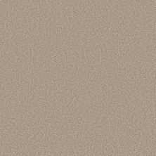 Shaw Floors Pet Perfect Plus BOLD MOVE PLUS Sheer Beige 00144_5E840