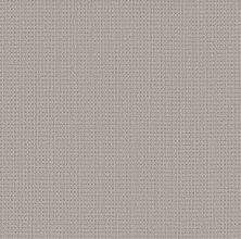 Shaw Floors Finely Detailed Twilight 00101_5E842