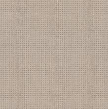 Shaw Floors Finely Detailed Sun Bleached 00110_5E842
