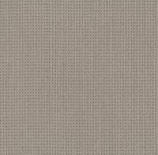 Shaw Floors Finely Detailed Warm Taupe 00505_5E842