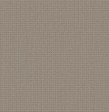 Shaw Floors Finely Detailed Natural Sisal 00705_5E842