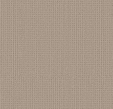 Shaw Floors Finely Detailed Basketry 00706_5E842