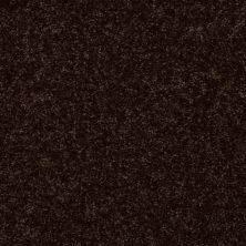 Shaw Floors ALL STAR WEEKEND III 12′ Coffee Bean 00705_E0145