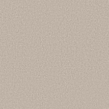 Shaw Floors SIMPLY THE BEST Elevated I Nuance 00111_5E846