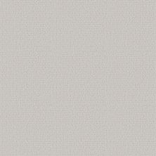 Shaw Floors SFA Warm Memories Coming Home 151P_EA825