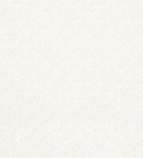 Shaw Floors FOUNDATIONS Entwined With You White Hot 00170_E9808