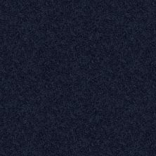 Shaw Floors SFA Take Part 12 Evening Sky