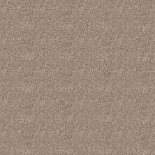 Shaw Floors Simply The Best ELEVATED III Soft Sand 00106_5E863