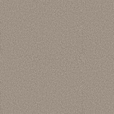 Shaw Floors Simply The Best ELEVATED III Dawn Beige 00107_5E863