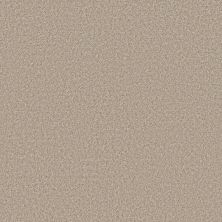 Shaw Floors Simply The Best Elevated III Warm Glow 00110_5E863