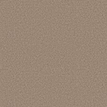 Shaw Floors Simply The Best ELEVATED III Summer Straw 00200_5E863