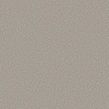 Shaw Floors SIMPLY THE BEST Elevated II Silver Mist 00510_5E862