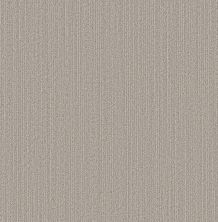 Shaw Floors Pet Perfect Plus Natural Embrace Twilight 00101_5E877