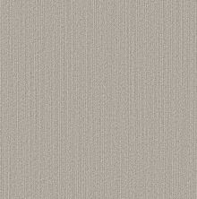 Shaw Floors Pet Perfect Plus Natural Embrace Marble 00108_5E877