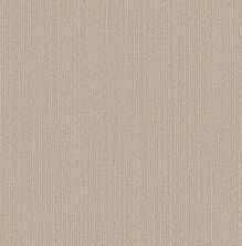 Shaw Floors Pet Perfect Plus Natural Embrace Sun Bleached 00110_5E877