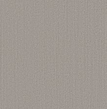 Shaw Floors Pet Perfect Plus Natural Embrace Platinum 00502_5E877