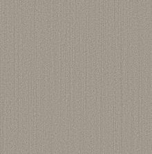 Shaw Floors Pet Perfect Plus Natural Embrace Warm Taupe 00505_5E877