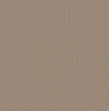 Shaw Floors Pet Perfect Plus Natural Embrace Rattan 00704_5E877