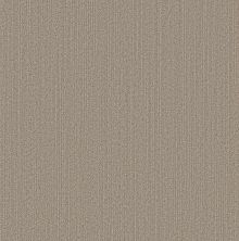 Shaw Floors Pet Perfect Plus Natural Embrace Natural Sisal 00705_5E877