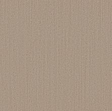 Shaw Floors Pet Perfect Plus Natural Embrace Basketry 00706_5E877