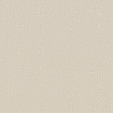 Shaw Floors Pet Perfect Plus Velvet Touch I Natural 00100_5E871