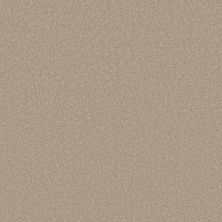 Shaw Floors Pet Perfect Plus Velvet Touch I Chic Greige 00104_5E871