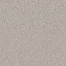 Shaw Floors Pet Perfect Plus Velvet Touch I Gravity 00501_5E871