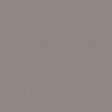 Shaw Floors Pet Perfect Plus Velvet Touch I Vintage 00502_5E871