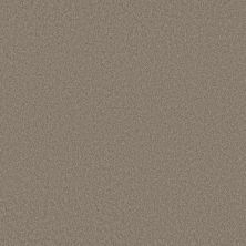 Shaw Floors Pet Perfect Plus Velvet Touch I Plaza Taupe 00702_5E871