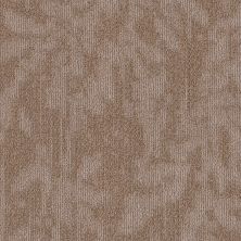 Philadelphia Commercial New Take Modern Heirloom Windsor Tan 00208_55011