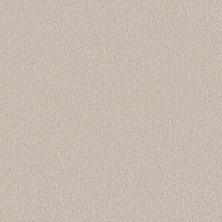 Shaw Floors Pet Perfect Plus Velvet Touch II Soft Sense 00101_5E872