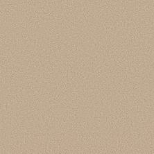 Shaw Floors Pet Perfect Plus Velvet Touch II Cashew 00102_5E872