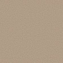 Shaw Floors Pet Perfect Plus Velvet Touch II Straw Hat 00103_5E872