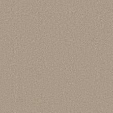 Shaw Floors Pet Perfect Plus Velvet Touch II Chic Greige 00104_5E872
