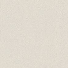 Shaw Floors Pet Perfect Plus Velvet Touch II Snowfall 00150_5E872