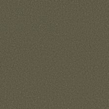 Shaw Floors Pet Perfect Plus Velvet Touch II Rerooted Nature 00300_5E872