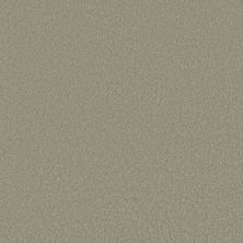 Shaw Floors Pet Perfect Plus Velvet Touch II Organic Grown 00320_5E872