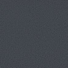 Shaw Floors Pet Perfect Plus Velvet Touch II Refined 00402_5E872