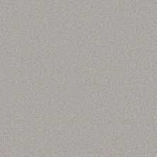 Shaw Floors Pet Perfect Plus Velvet Touch II Serene Blue 00450_5E872