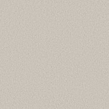 Shaw Floors Pet Perfect Plus Velvet Touch II Frozen 00500_5E872