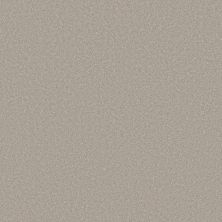 Shaw Floors Pet Perfect Plus Velvet Touch II Rock Crystal 00503_5E872