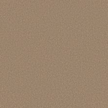 Shaw Floors Pet Perfect Plus Velvet Touch II Canoe 00700_5E872