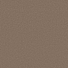 Shaw Floors Pet Perfect Plus Velvet Touch II Timberlake 00701_5E872