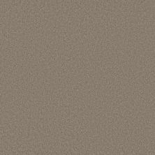 Shaw Floors Pet Perfect Plus Velvet Touch II Plaza Taupe 00702_5E872