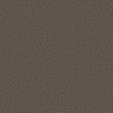 Shaw Floors Pet Perfect Plus Velvet Touch II Ashes 00750_5E872