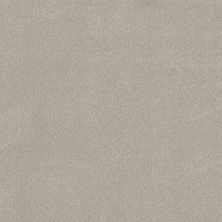 Shaw Floors PET PERFECT PLUS Vivid Touch I Beige Mist 00121_5E873