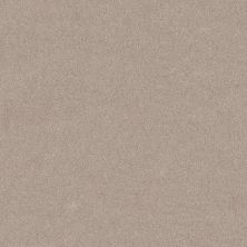 Shaw Floors PET PERFECT PLUS Vivid Touch I Baja 00720_5E873