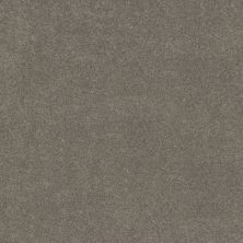 Shaw Floors PET PERFECT PLUS Vivid Touch I Hideaway 00722_5E873