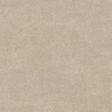 Shaw Floors PET PERFECT PLUS Vivid Touch II Dune View 00120_5E874