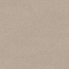 Shaw Floors PET PERFECT PLUS Vivid Touch II Cafe Latte 00122_5E874